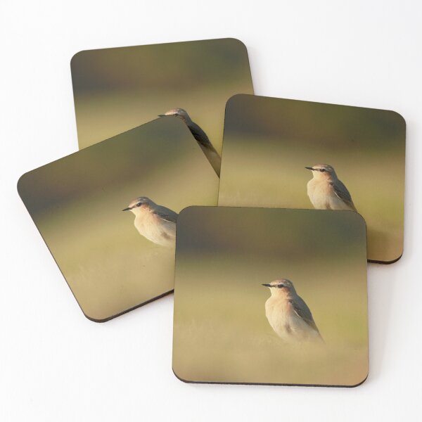 Item preview, Wandering wheatear designed and sold by miradorpictures.