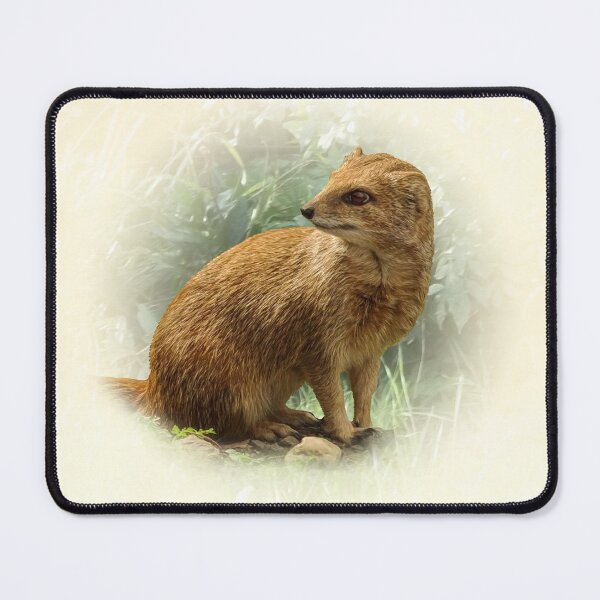 Item preview, Yellow Mongoose designed and sold by Guardi71.