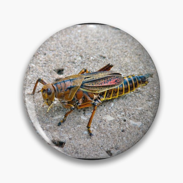 Item preview, Nature's Tiny Masterpiece! designed and sold by Lana Magnolia.