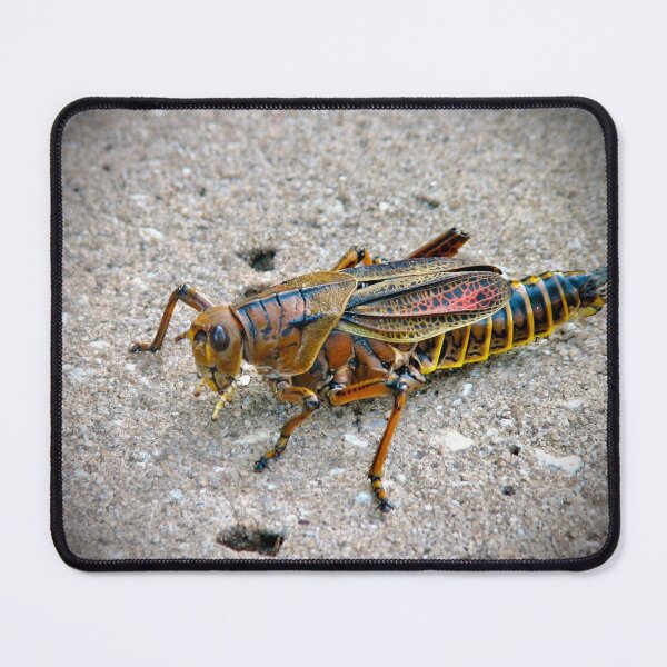 Item preview, Nature's Tiny Masterpiece! designed and sold by Lana Magnolia.