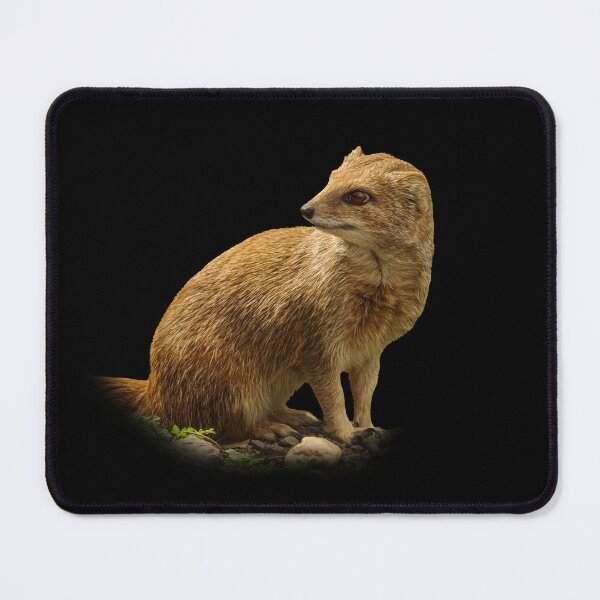 Item preview, Yellow Mongoose designed and sold by Guardi71.