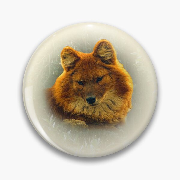Item preview, Dhole-asian wild dog designed and sold by Guardi71.