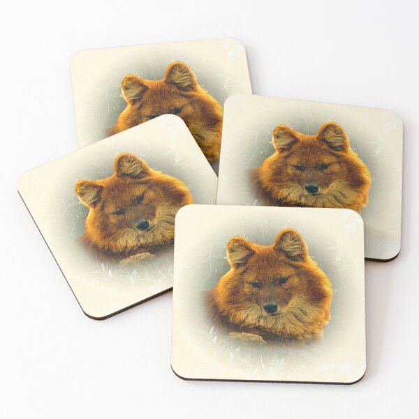 Item preview, Dhole-asian wild dog designed and sold by Guardi71.