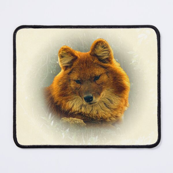 Item preview, Dhole-asian wild dog designed and sold by Guardi71.