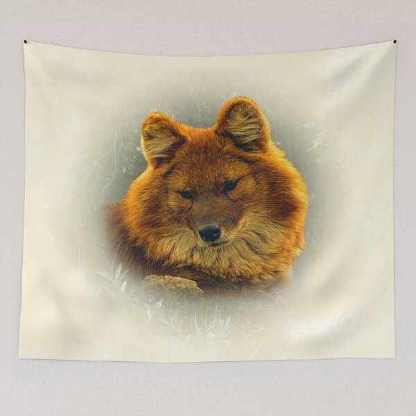 Item preview, Dhole-asian wild dog designed and sold by Guardi71.
