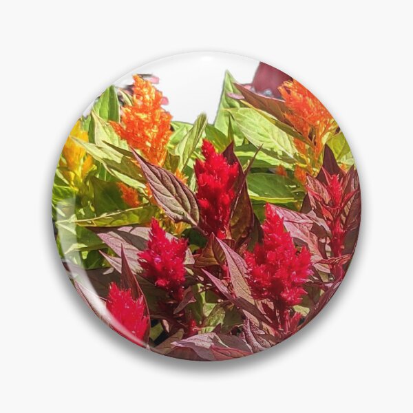 Item preview, CELOSIA designed and sold by JoAnnHayden.