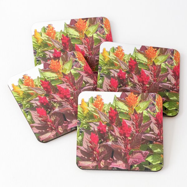 Item preview, CELOSIA designed and sold by JoAnnHayden.