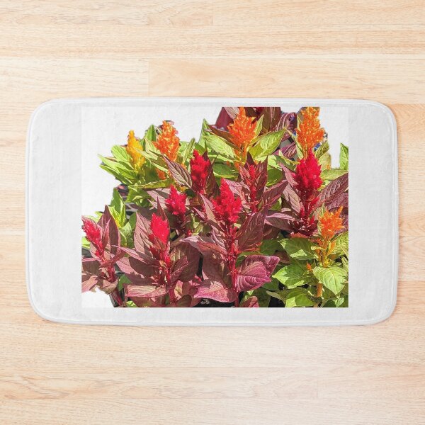 Item preview, CELOSIA designed and sold by JoAnnHayden.