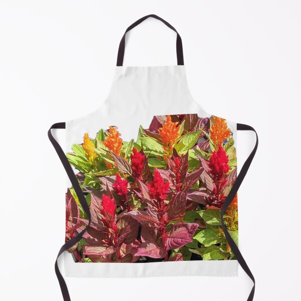 Item preview, CELOSIA designed and sold by JoAnnHayden.