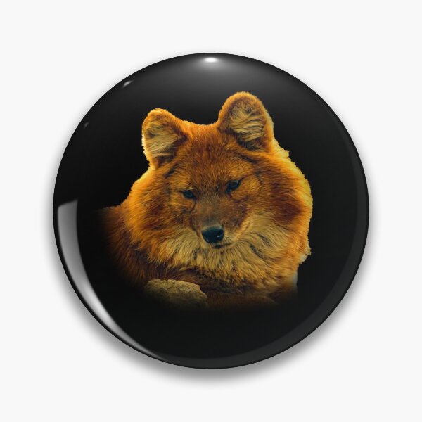 Item preview, Dhole-asian wild dog designed and sold by Guardi71.