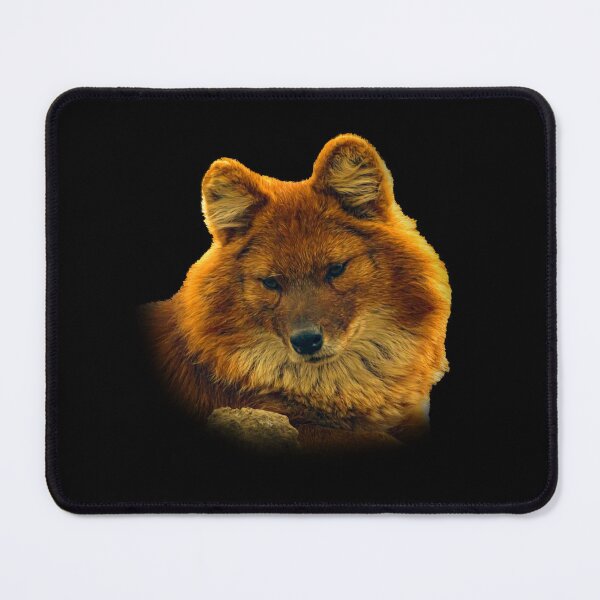 Item preview, Dhole-asian wild dog designed and sold by Guardi71.