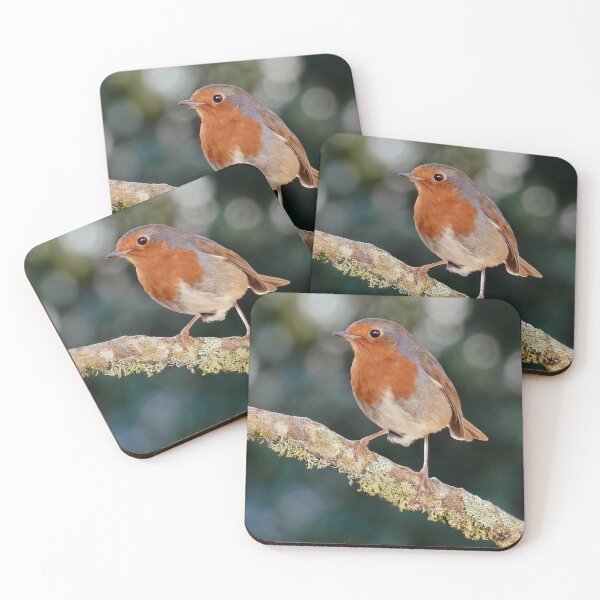 Item preview, Robin Redbreast  designed and sold by Tom McPherson Photography.