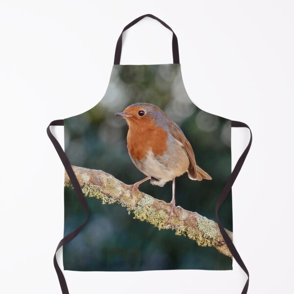 Item preview, Robin Redbreast  designed and sold by Tom McPherson Photography.