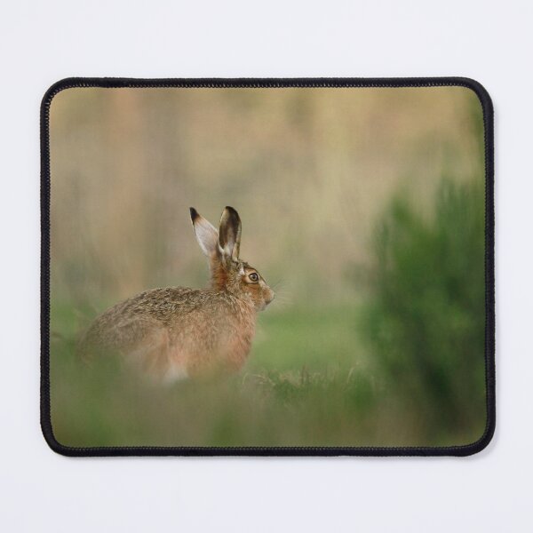 Item preview, Ears up designed and sold by miradorpictures.