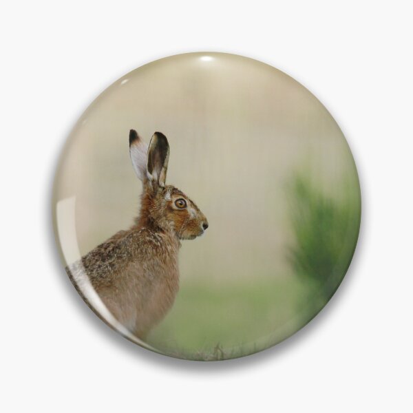 Item preview, Hare stare designed and sold by miradorpictures.