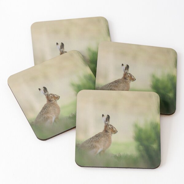 Item preview, Hare stare designed and sold by miradorpictures.