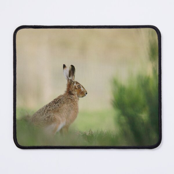 Item preview, Hare stare designed and sold by miradorpictures.