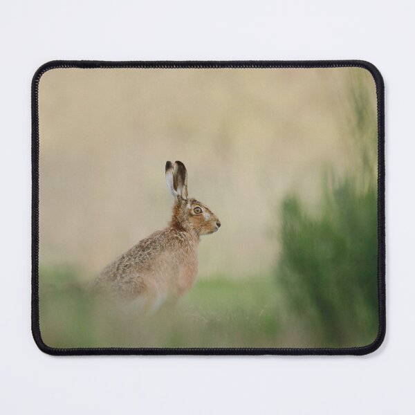 Item preview, Standing to attention designed and sold by miradorpictures.