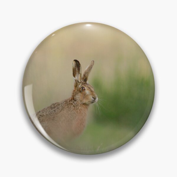 Item preview, Hare head on designed and sold by miradorpictures.