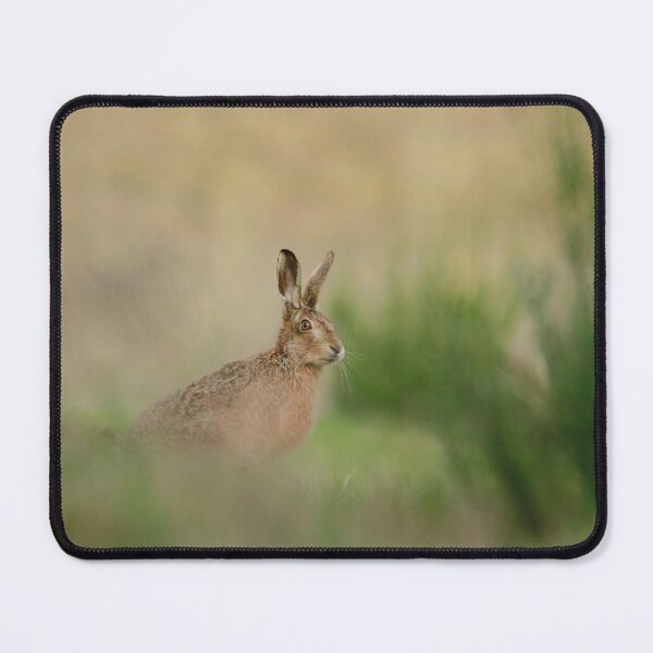 Item preview, Hare head on designed and sold by miradorpictures.