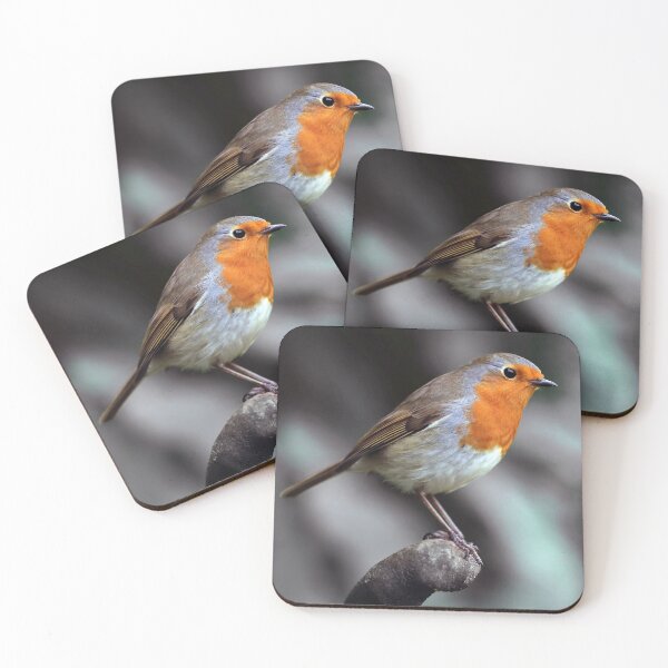 Item preview, Robin Redbreast designed and sold by Tom McPherson Photography.
