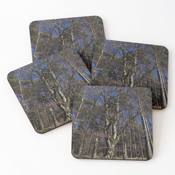 Item preview, Crooked tree designed and sold by Martin Fenton.