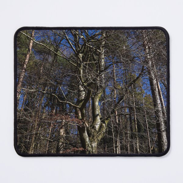 Item preview, Crooked tree designed and sold by Martin Fenton.