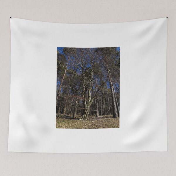 Item preview, Crooked tree designed and sold by Martin Fenton.