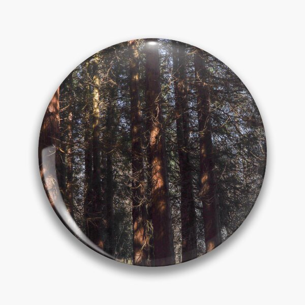 Item preview, Forest sunshine designed and sold by Martin Fenton.