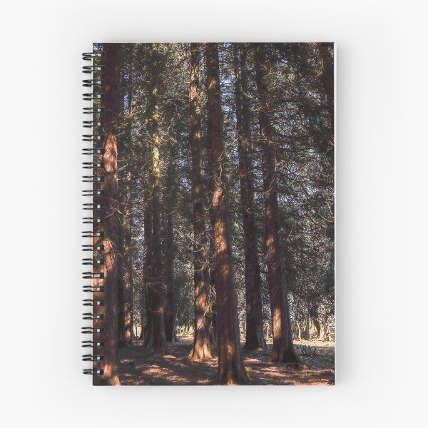 Item preview, Forest sunshine designed and sold by Martin Fenton.