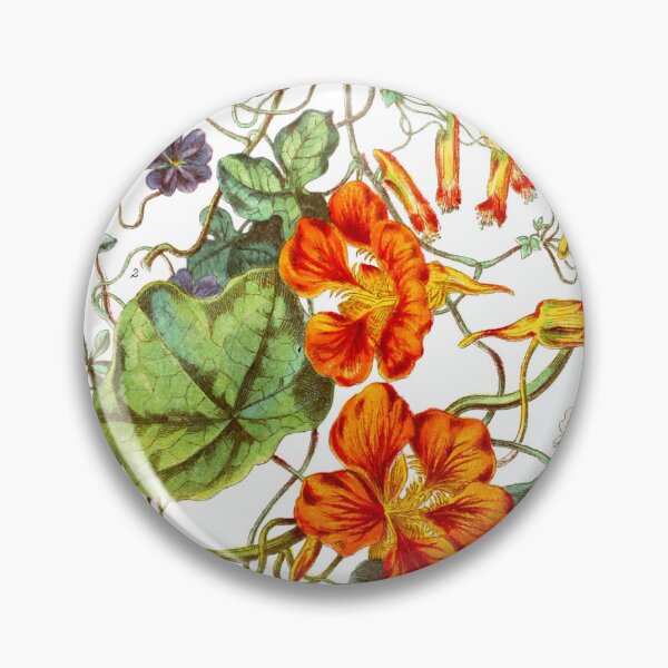 Item preview, Vintage Tropæolaceæ Print: The Indian Cress, Or Nasturtium Tribe (1868) via Illustrations Of The Natural Orders Of Plants designed and sold by Douglas E. Welch Design and Photography.