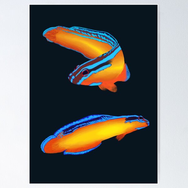 Item preview, Neon Dottyback Saltwater Fish Pair designed and sold by Romanticize the Life.