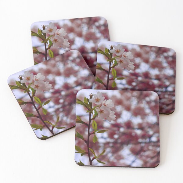 Item preview, Cherry Blossoms designed and sold by jaxk787.