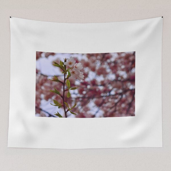 Item preview, Cherry Blossoms designed and sold by jaxk787.