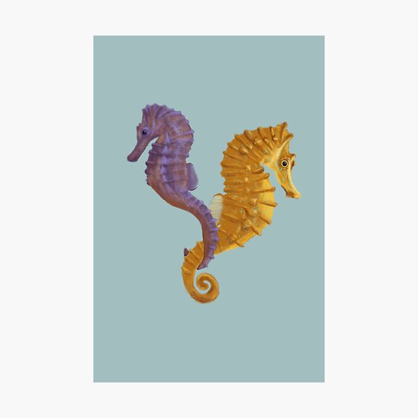 Item preview, Pair of Seahorses designed and sold by Romanticize the Life.