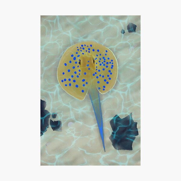 Item preview, Blue Spotted Sting Ray  designed and sold by Romanticize the Life.