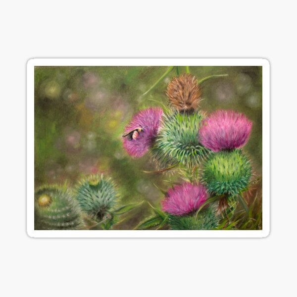 Bee and Thistle Sticker