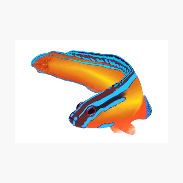 Item preview, Neon Dottyback designed and sold by Romanticize the Life.