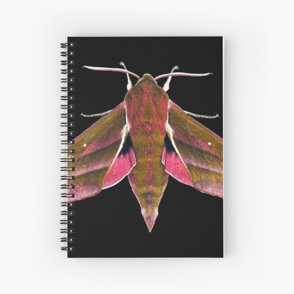 Item preview, Elephant Hawk Moth designed and sold by Murph's Images.