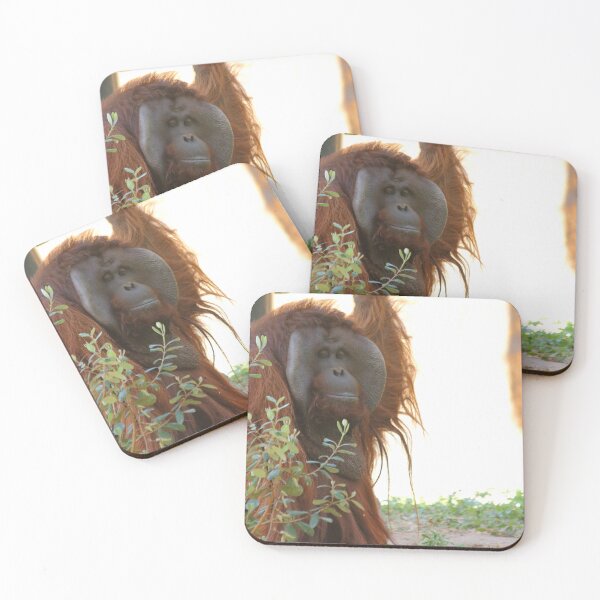 Item preview, The Look designed and sold by Olivia Plasencia.