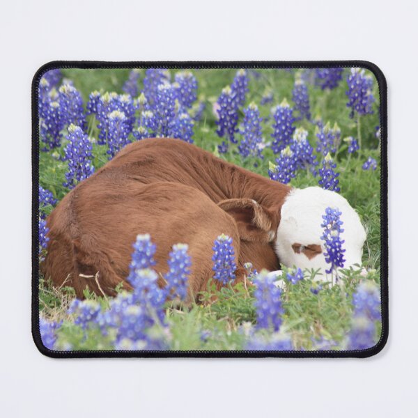Item preview, Hide and Seek designed and sold by Olivia Plasencia.