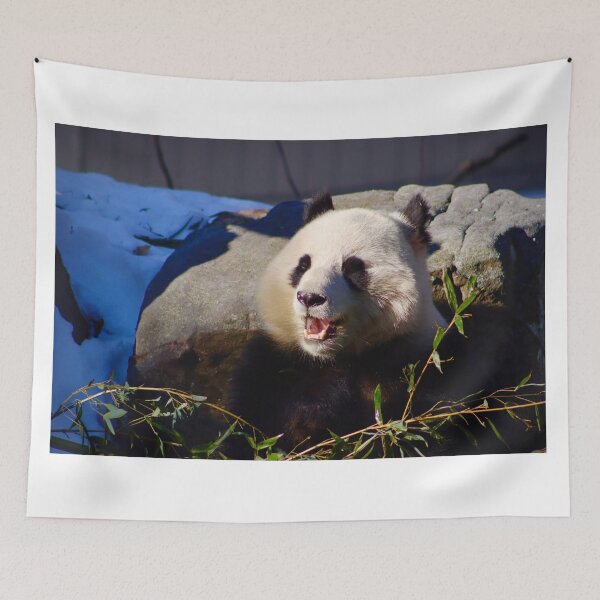 Item preview, Panda Enjoying A Snack designed and sold by jaxk787.