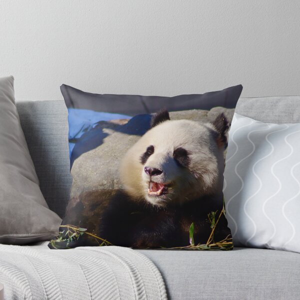 Item preview, Panda Enjoying A Snack designed and sold by jaxk787.