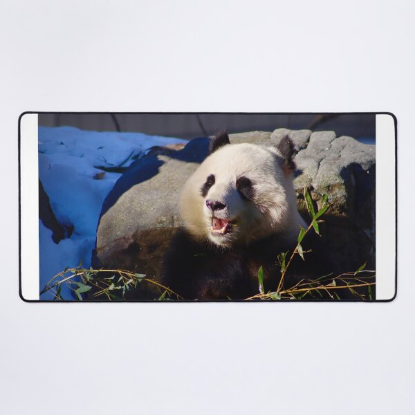 Item preview, Panda Enjoying A Snack designed and sold by jaxk787.