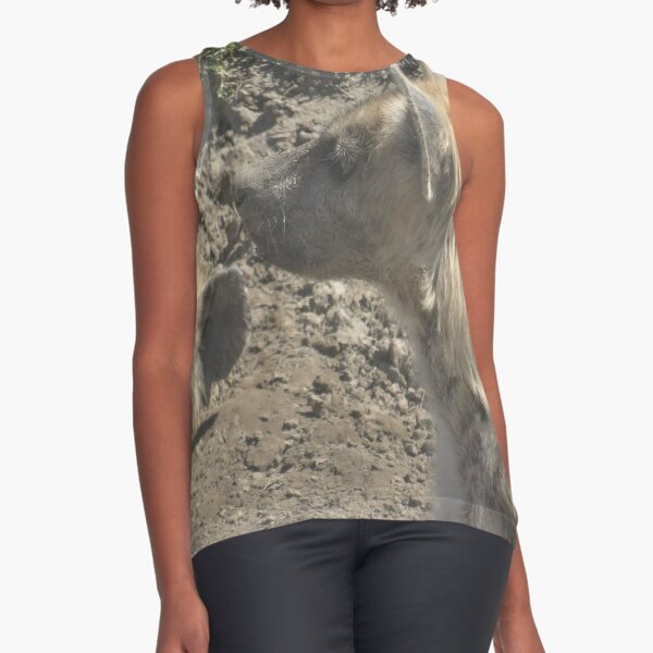 Item preview, Hyenas Chilling in the Dirt designed and sold by Authentic Buffalo.
