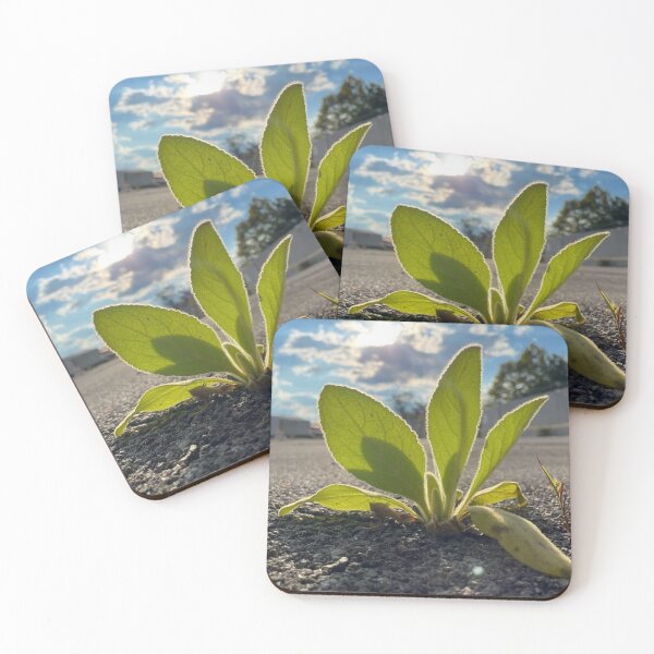 Item preview, Plant growing from concrete  designed and sold by Artistkhg.