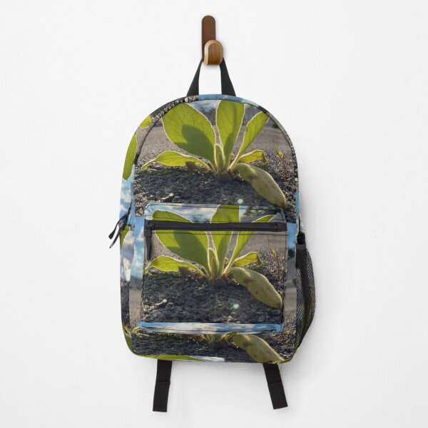 Item preview, Plant growing from concrete designed and sold by Artistkhg.
