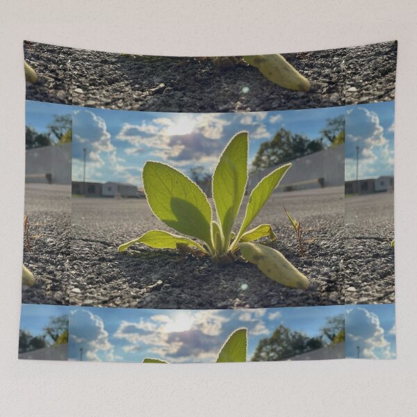 Item preview, Plant growing from concrete  designed and sold by Artistkhg.
