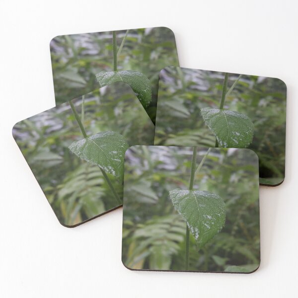 Item preview, Beautiful dark green wet leaf texture wallpaper perfect for Nature Lovers who love the forest designed and sold by Yusuf-Design.