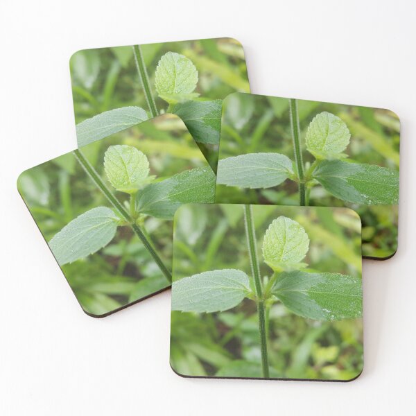 Item preview, Fresh green leaf wallpaper. designed and sold by Yusuf-Design.